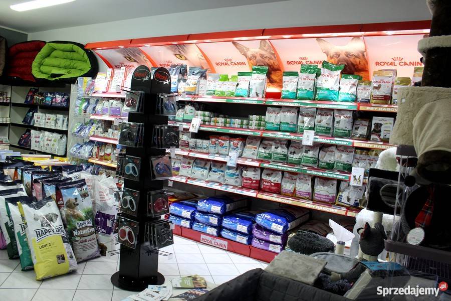 BURUNDUK WIEWIÓRKA SYBERYJSKA Tamias sibiricus Pozostałe Piła