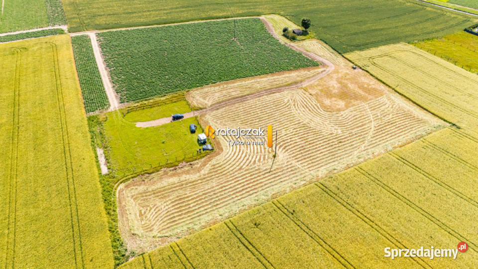 Działka 1014m2 Robakowo Królewska 37m Sprzedaż