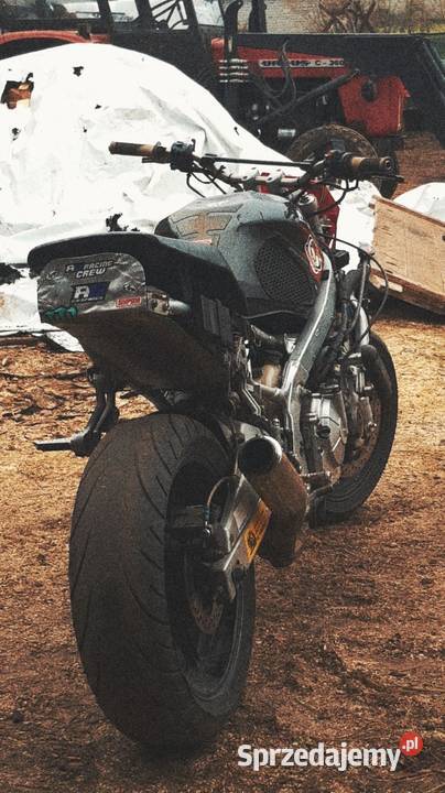 Honda cbr 600 Szczekociny