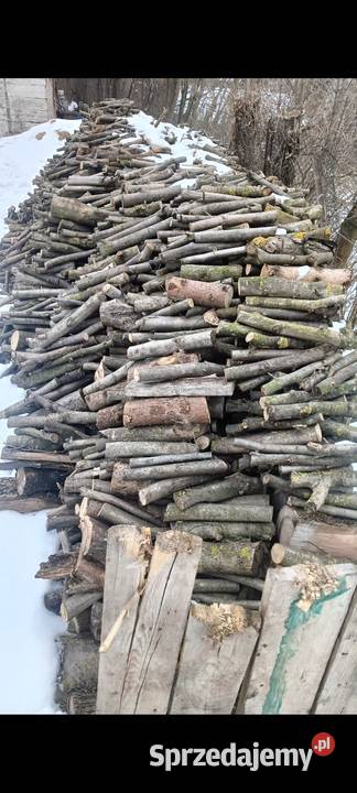 drewo Opał Kazimierza Wielka sprzedam