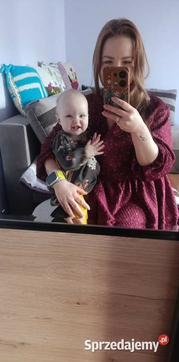 Nasiona Dynia Nelson Kołaczyce sprzedam