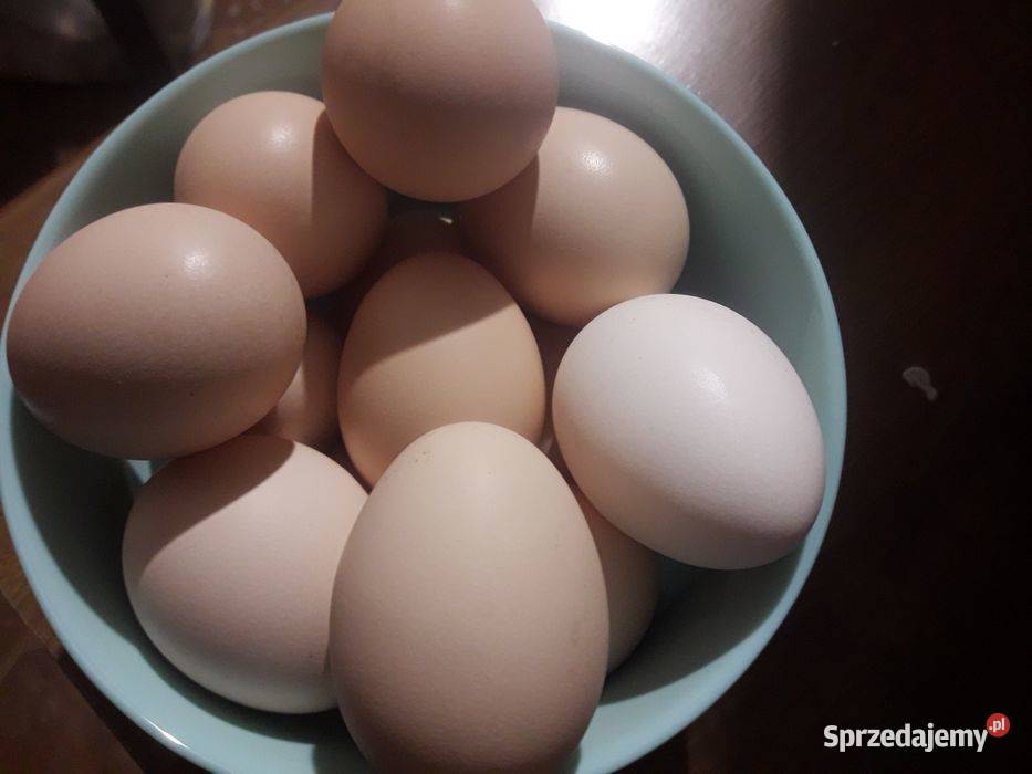 Jajka wiejskie do konsumpcji Czarnocin