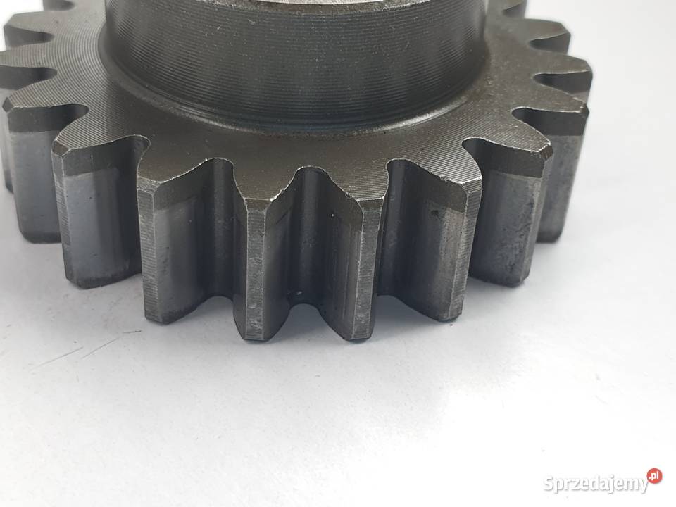 Tryb Walu Zebatka Tm Mx 250 Łódź