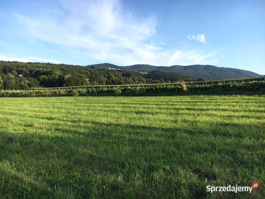Działka budowlana 12 ar Beskid Wyspowy sprzedam