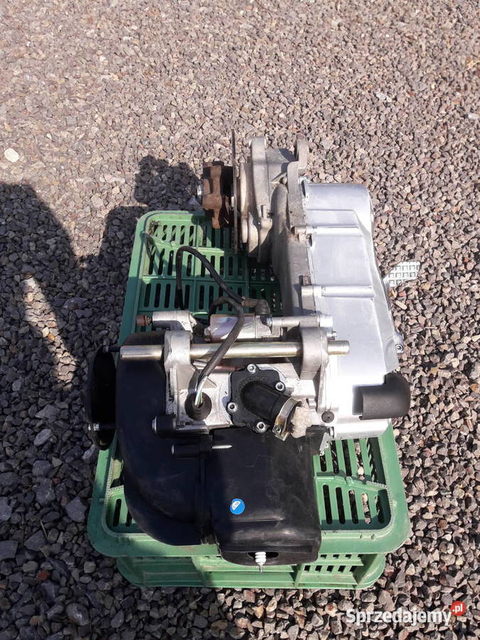 Silnik Zico Simpli Baotian Ferro 802 Zipp Bt49qt Sandomierz