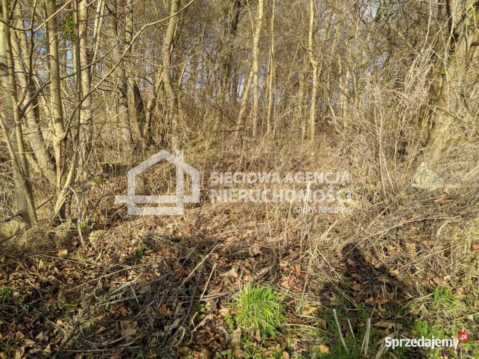Ogłoszenie grunt 3205m2 Lublewo Gdańskie sprzedam