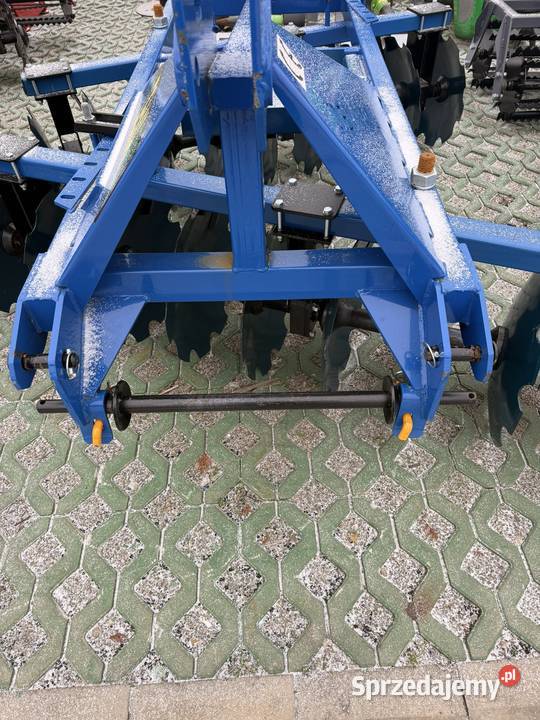 Brona Talerzowa małopolskie Bochnia