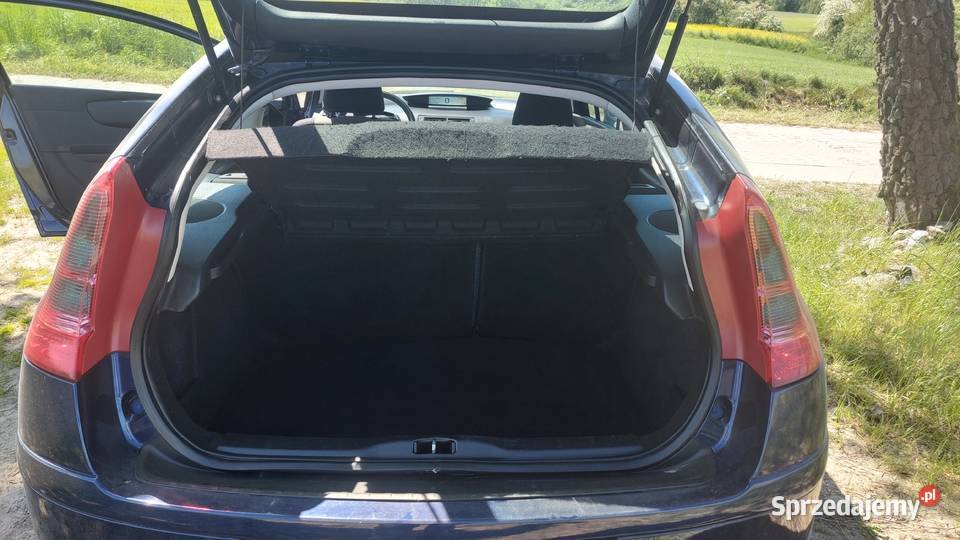 Citroen C4 16 HDI 2007 Pinczyn