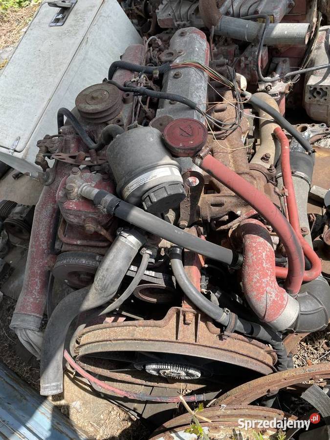 Silnik Iveco Motoryzacja