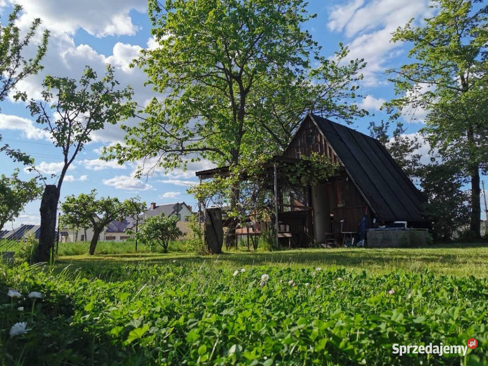 Sprzedam Działkę ROD Stróżewko Sprzedaż