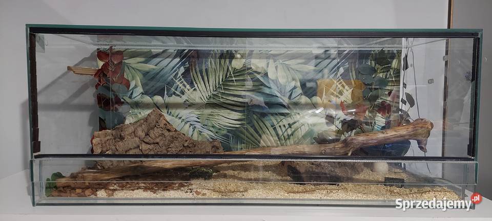 Terrarium Terrarystyka śląskie Tychy sprzedam