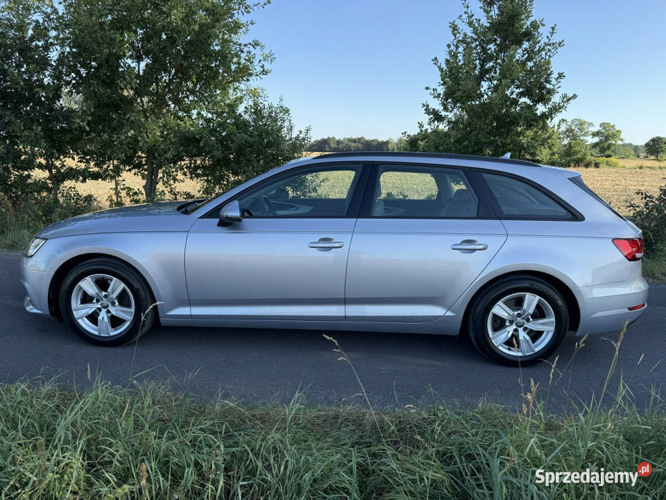 Audi A4 Avant 20TDI 150 Automat 172 Bezwypadkowy Ocice