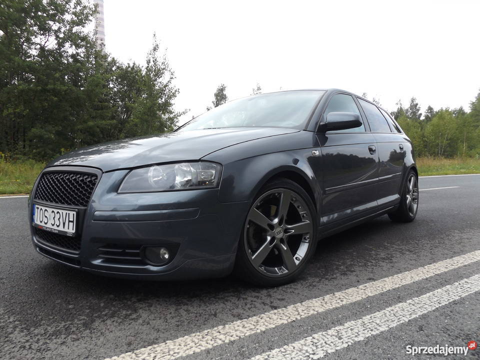 Audi A3 8P Sportback 2005 Oryginalny Lakier A3 Sławków
