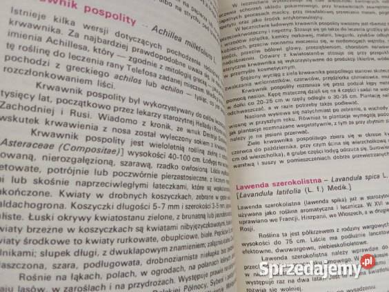 Rośliny lecznicze w ogródku Systematyka roślin Łódź sprzedam