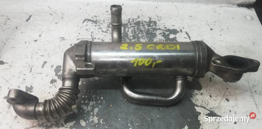 Chłodnica spalin Hyundai 25 CRDI 284804A470 świętokrzyskie