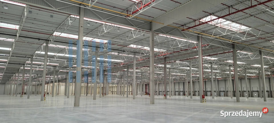 Magazyn klasy A Cross dock zaraz śląskie Sosnowiec