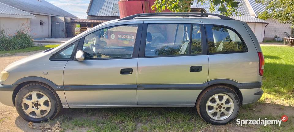Opel Zafira 2002r Rok produkcji 2002 podlaskie Mikicin-Kolonia