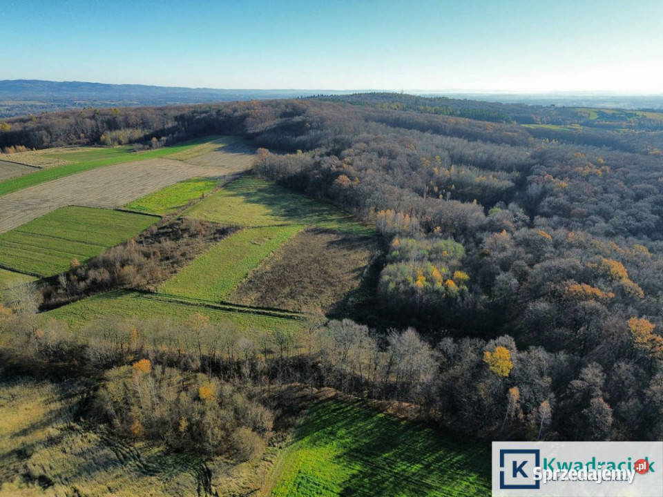 Ogłoszenie grunt Podniebyle 6100m2