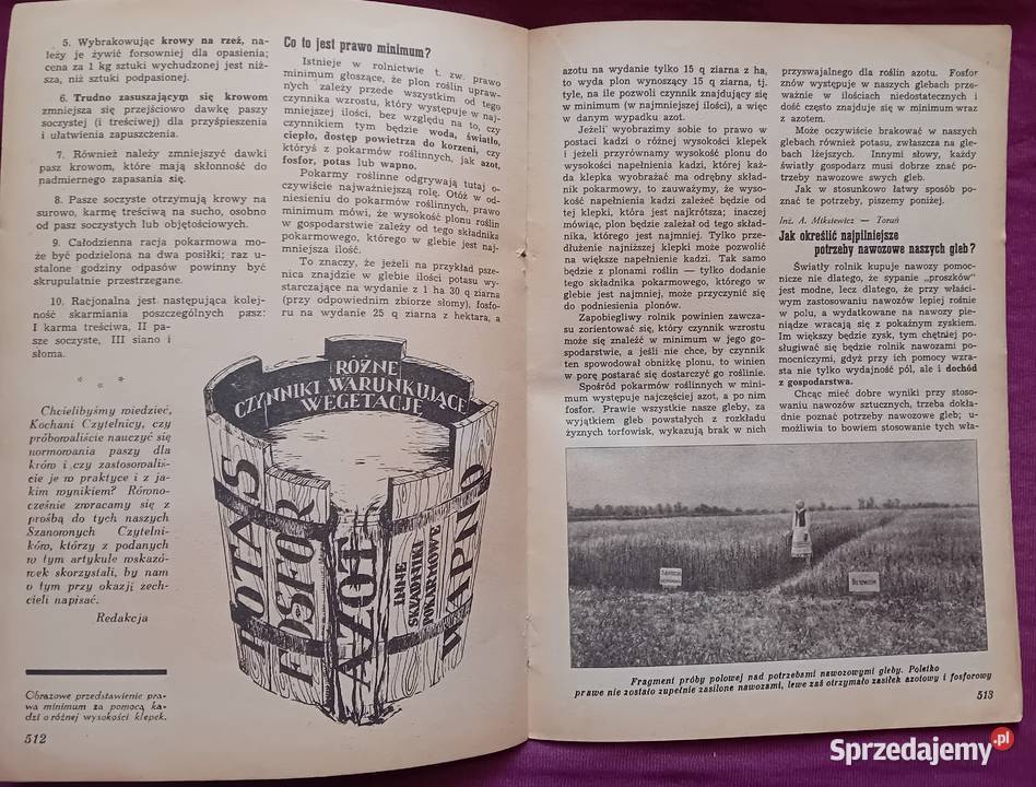 Miesięcznik Plon 12 z 1937 r IV Antykwariat Koźminek sprzedam