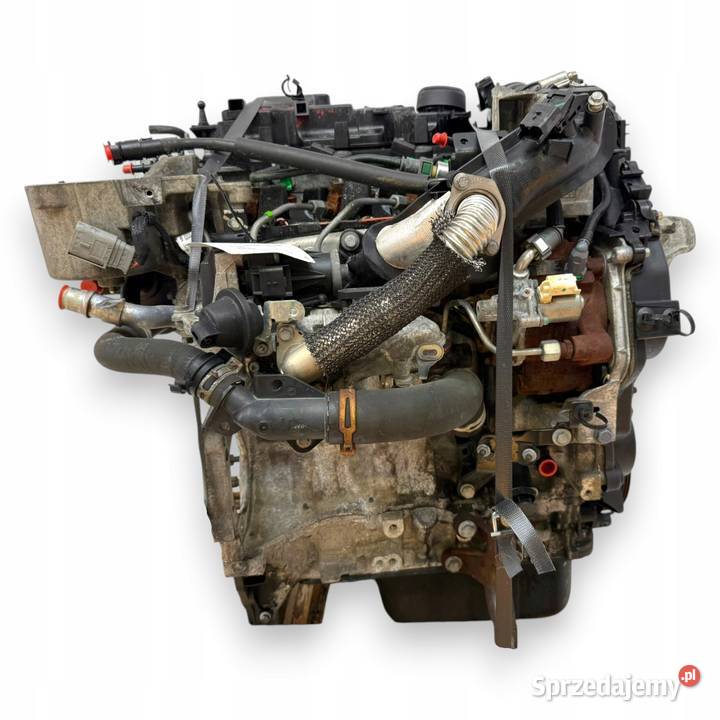 SILNIK T3DB Ford Focus III C C II 16 TDCI 95 Chełm