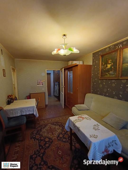 2pok 37met Ogrodu Botanicznego WINDA ZARAZ Wrocław sprzedam