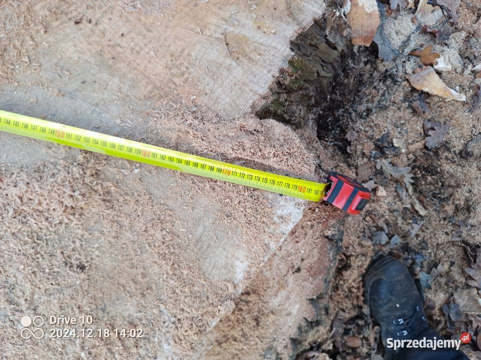 Wycinka drzew Radom prace ogrodowe