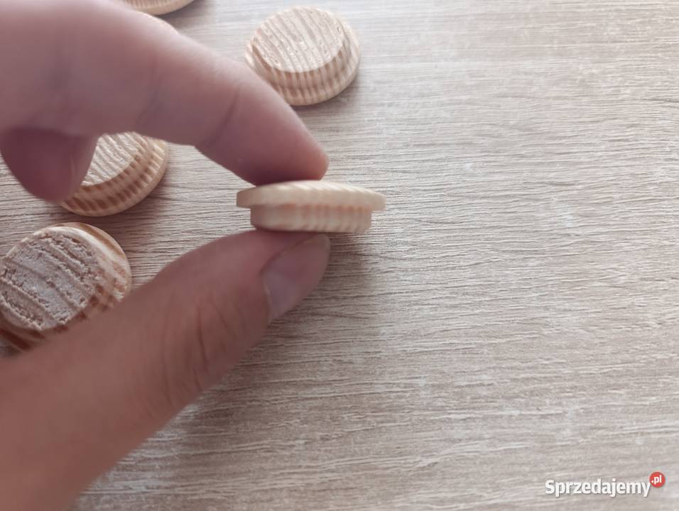 Zaślepka grzybkowa drewniana 20 mm Kwidzyn