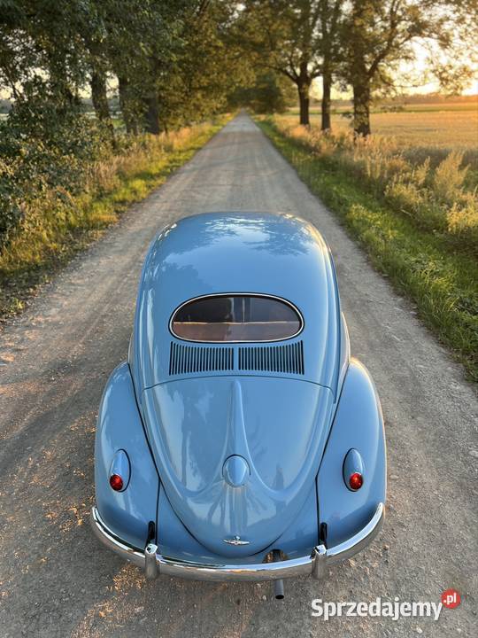 Volkswagen Garbus Oval 1954 Olesno