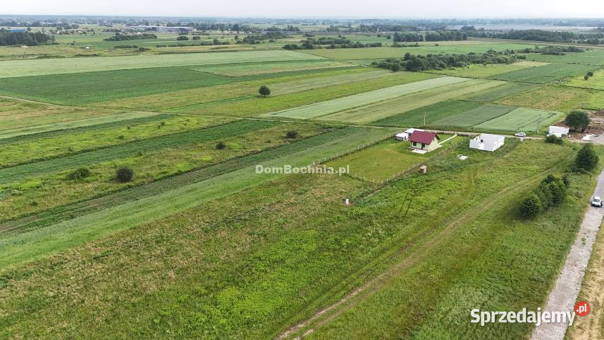 Grunt Krzeczów 2000m2