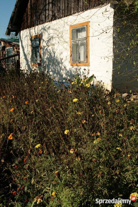 Dom z bali w przepięknej okolicy Bieszczady węglowe Domy Sanok sprzedam