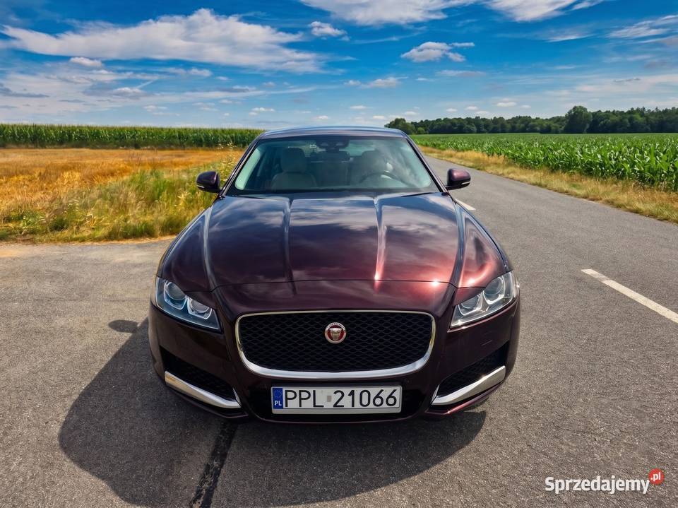 Jaguar XF 20 GTDi Prestige Salon 95 Zjawiskowy sprzedam