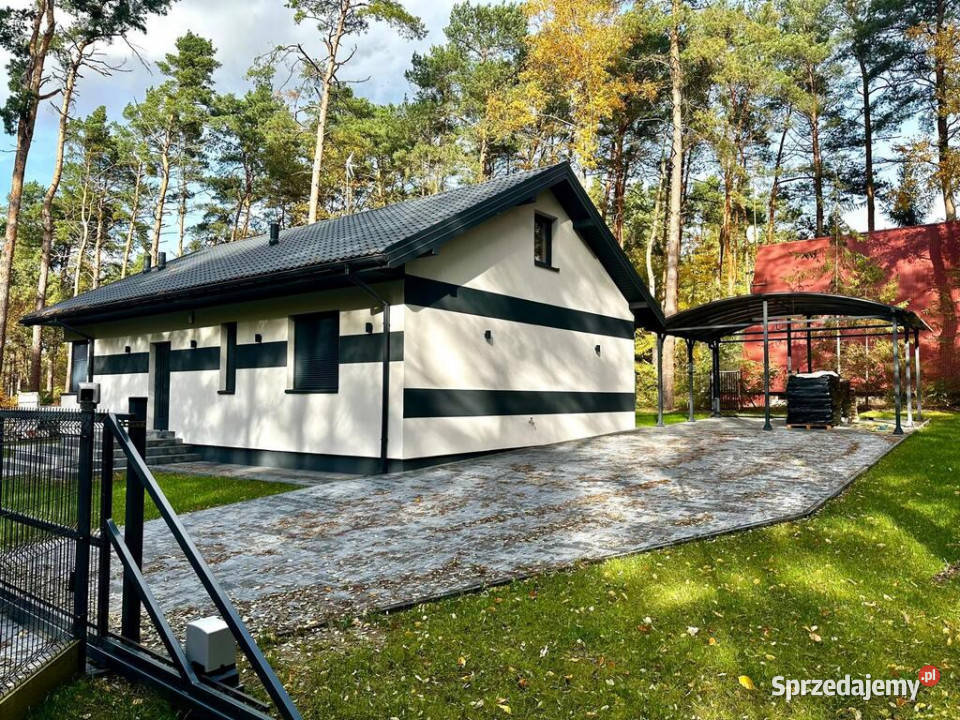 Dom pod lasem rodziny Włodzimierzów asfalt