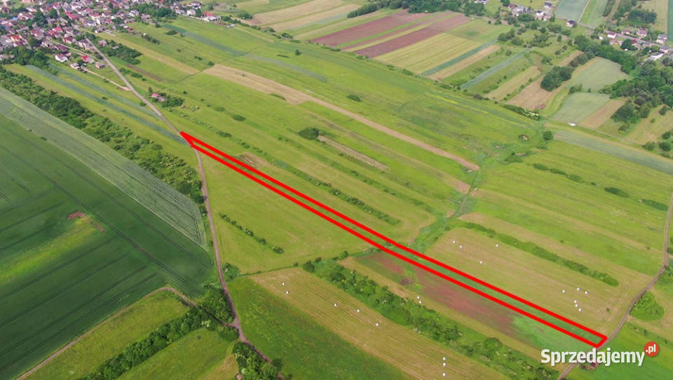 Działka rolna PorębaNiwki rolna Poręba