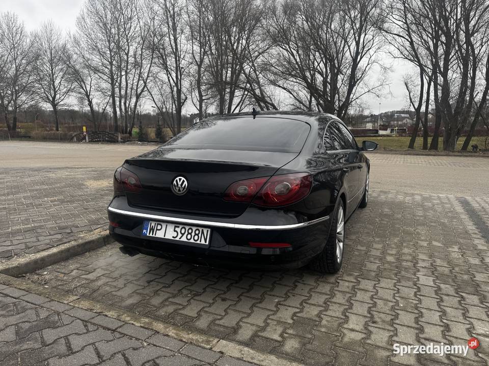 Czarny tygrys na sprzedaż Tarczyn