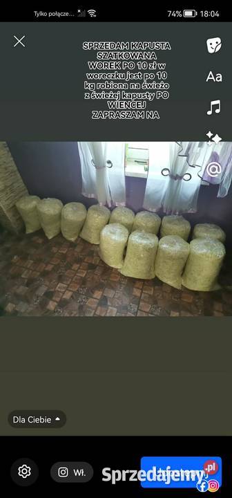 SPRZEDAM KAPUSTA SZATKOWANA SZATKA KAPUSTA Proszowice