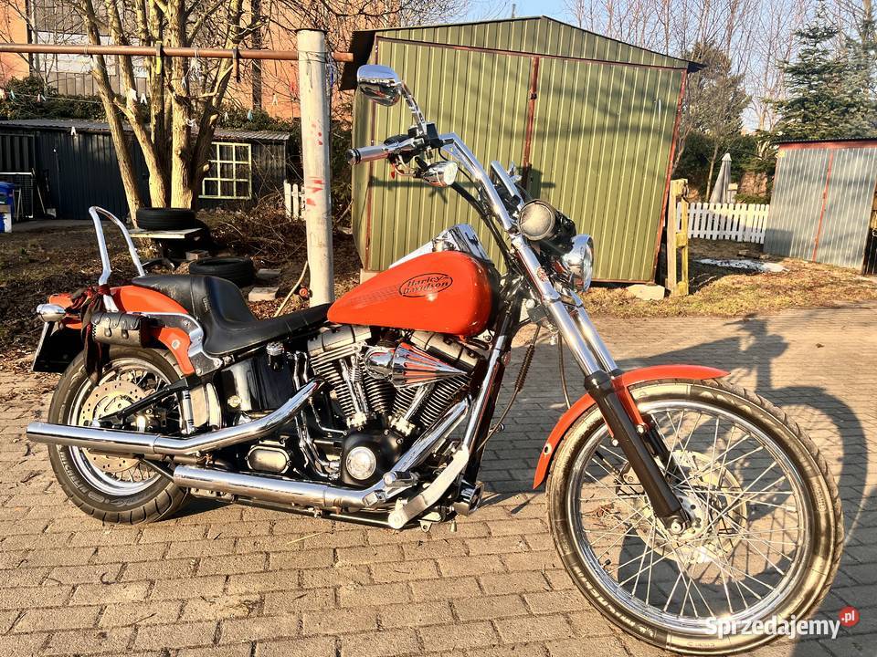 HarleyDavidson Softail Standard 2004 jedyny taki Wejherowo