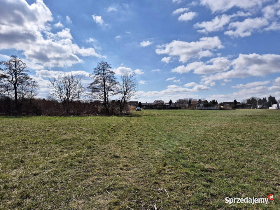 POZNAŃ Działka budowlana z DWZ pod zespół domów wielkopolskie Poznań