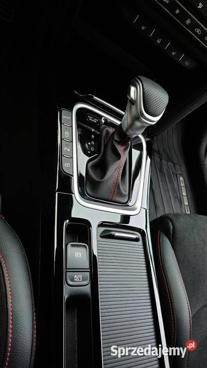 Kia PRoceed GT 16 204 konie Zawada