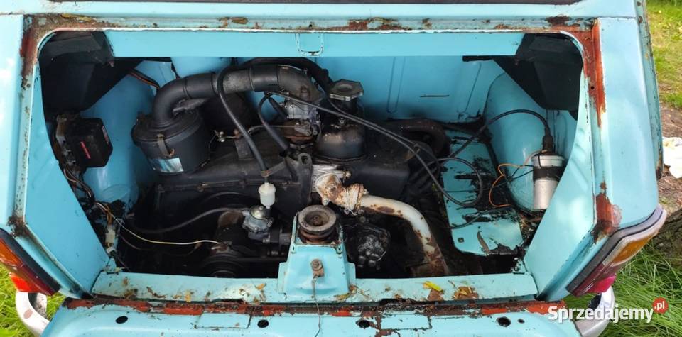 126p turchese farfalla 463