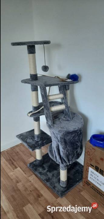 Akcesoria kota Dla kotów