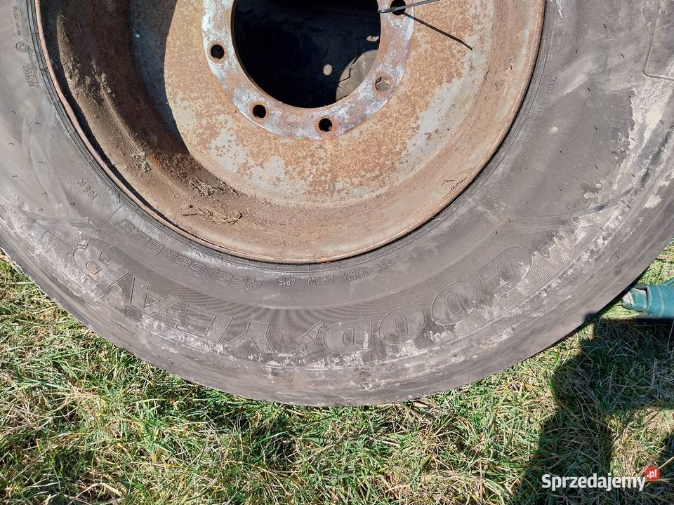 Koło przyczepy HL Brandys Autosan itp 42565R225 Opony wielkopolskie Borek