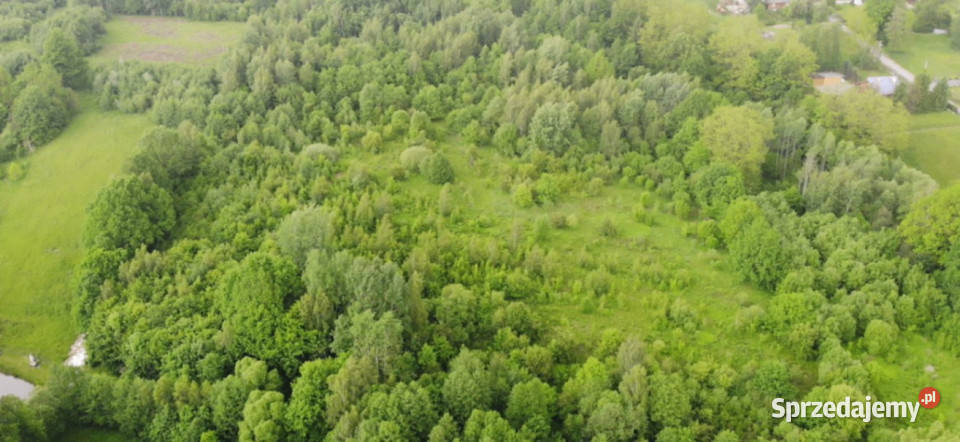 Włosań działka rolna 49 arów