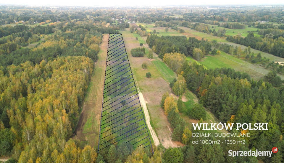 Działka budowlana 1020m2 Wilków Polski Nieruchomości