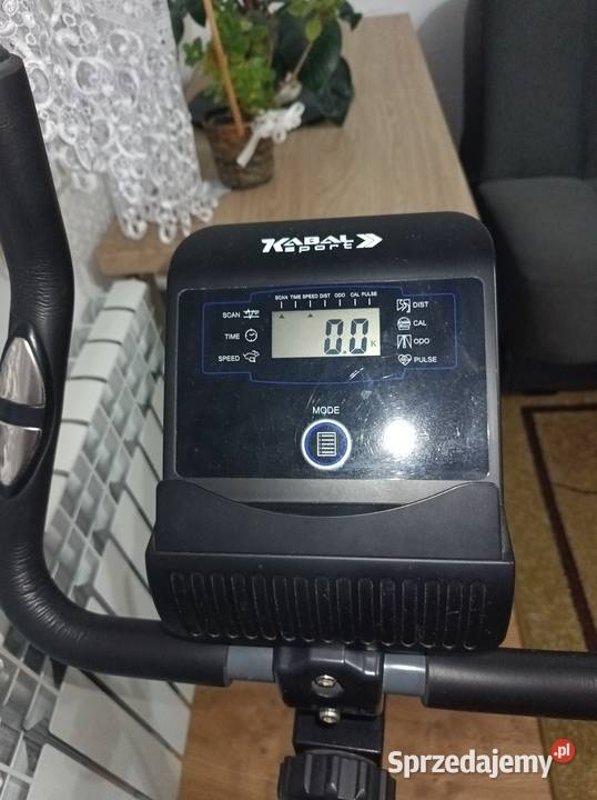 Rower stacjonarny Bęsia