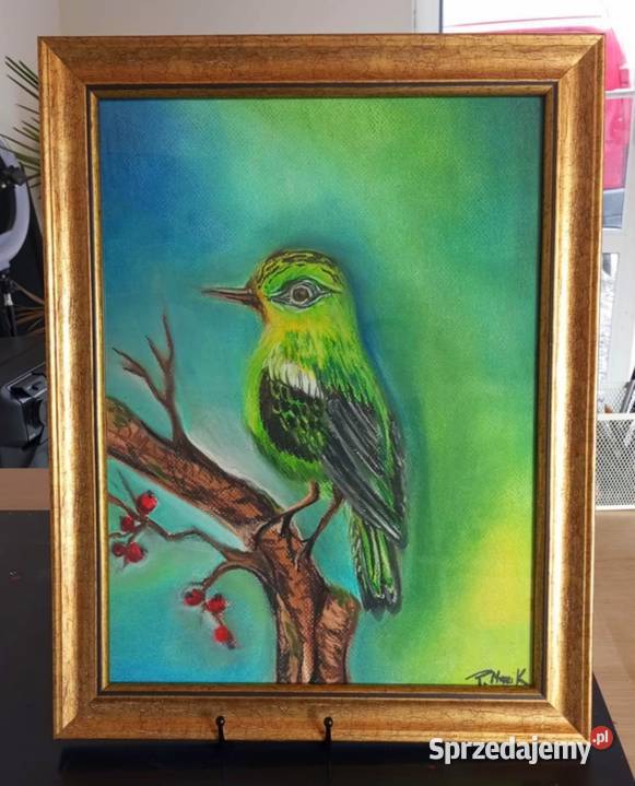 Obraz suchy pastel Ptaszek Andrychów