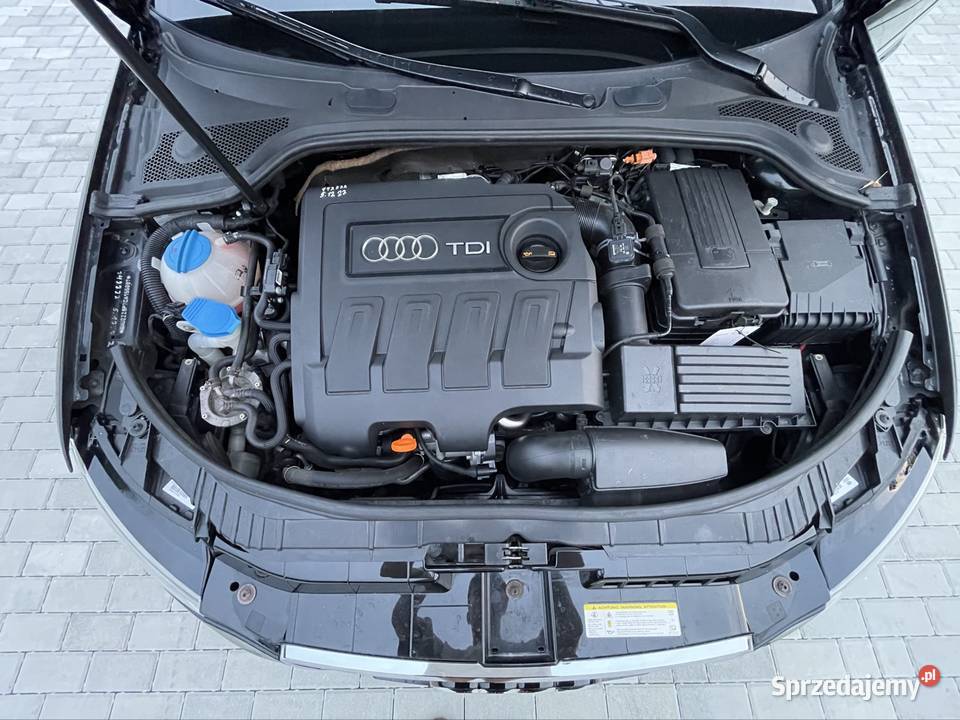 Audi A3 8P Sportback 2012 16 TDI 105 Manual Kraków