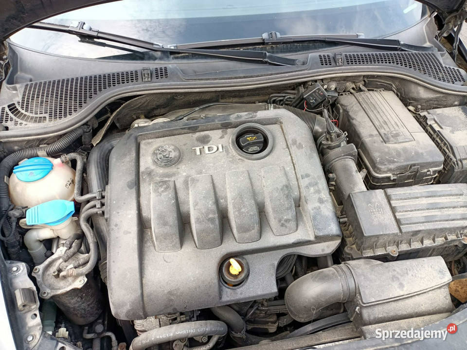 koda Octavia Skoda Octavia 19TDI 105 05r II