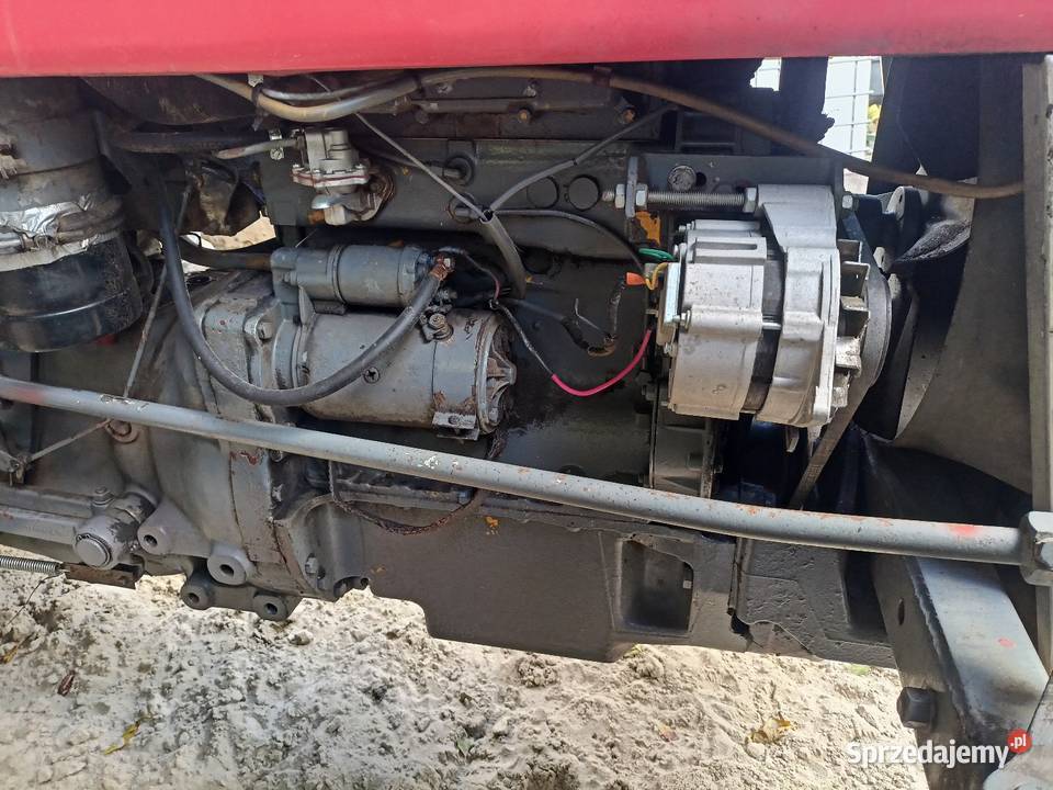 Massey Ferguson sprzedam