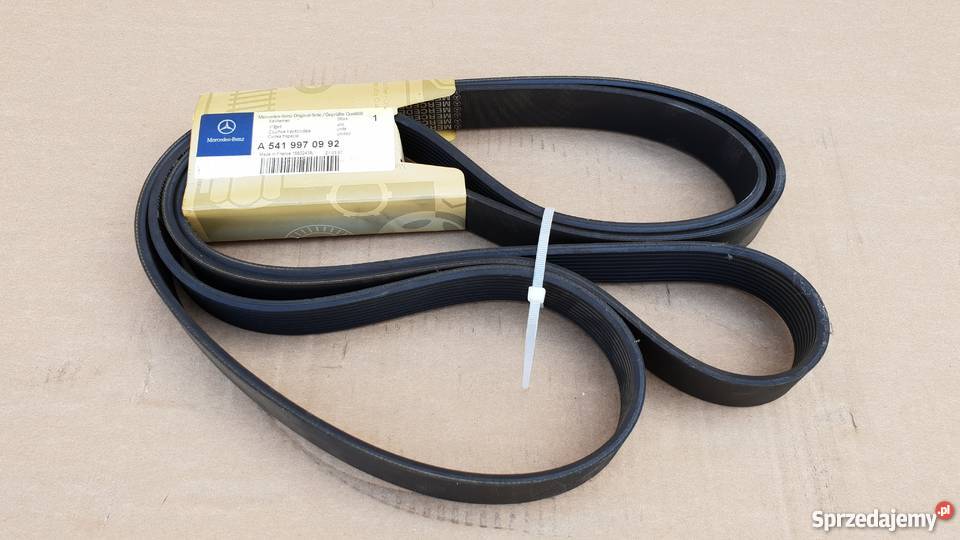 PASEK WIELOROWKOWY A 5419970992 ciężarowe Bieleń