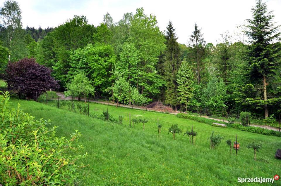 Dom BielskoBiała Straconka śląskie Bielsko-Biała